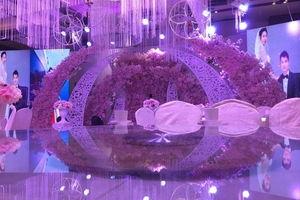 菏泽婚庆媒体爆料最新